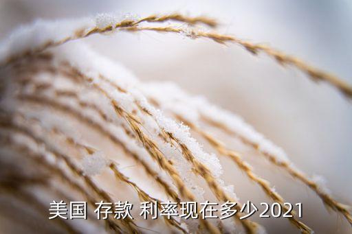 美國(guó) 存款 利率現(xiàn)在多少2021