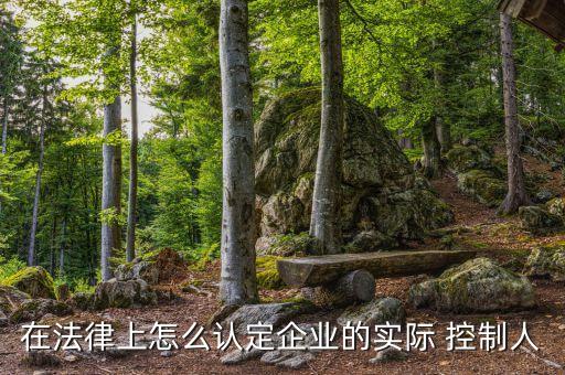 實際控制公司,gp和lp誰實際控制公司