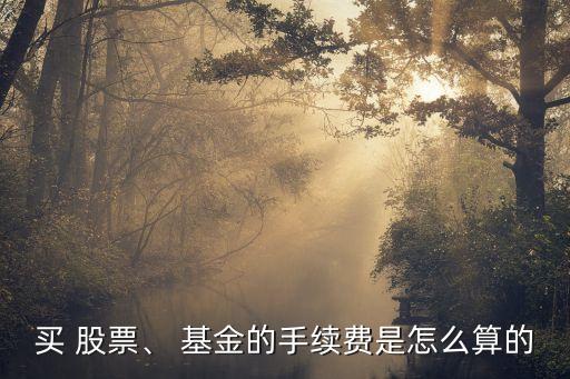 買(mǎi) 股票、 基金的手續(xù)費(fèi)是怎么算的