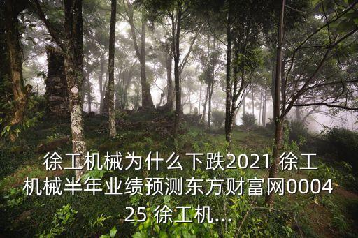  徐工機械為什么下跌2021 徐工機械半年業(yè)績預測東方財富網000425 徐工機...