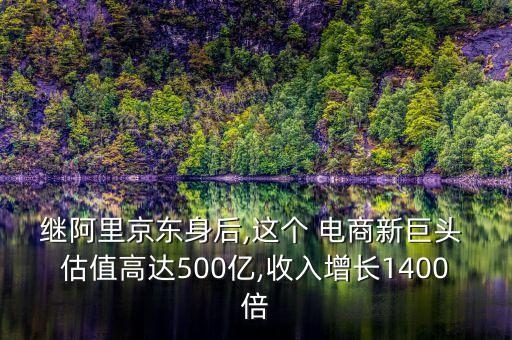 繼阿里京東身后,這個(gè) 電商新巨頭 估值高達(dá)500億,收入增長(zhǎng)1400倍