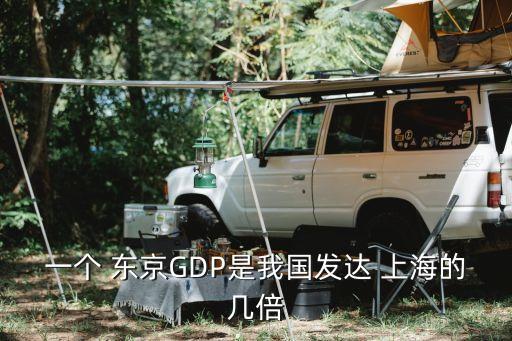 一個(gè) 東京GDP是我國發(fā)達(dá) 上海的幾倍