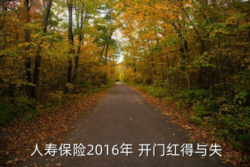  人壽保險2016年 開門紅得與失