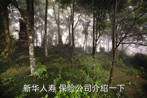 敦化新華保險(xiǎn)公司地址,敦化太平洋保險(xiǎn)公司電話