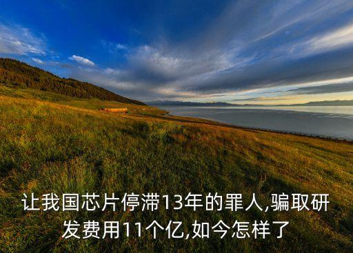 讓我國芯片停滯13年的罪人,騙取研發(fā)費用11個億,如今怎樣了