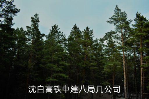 沈白高鐵中建八局幾公司