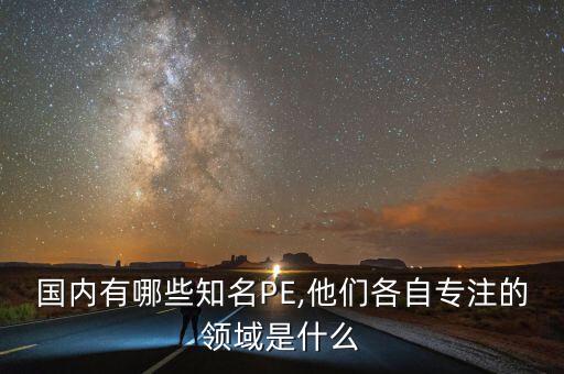 國內有哪些知名PE,他們各自專注的領域是什么