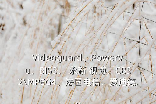 Videoguard、PowerVu、BISS、 永新 視博、CBS2\MPEG4、法國(guó)電信、愛(ài)迪德...