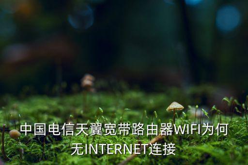 中國(guó)電信天翼寬帶路由器WIFI為何無(wú)INTERNET連接