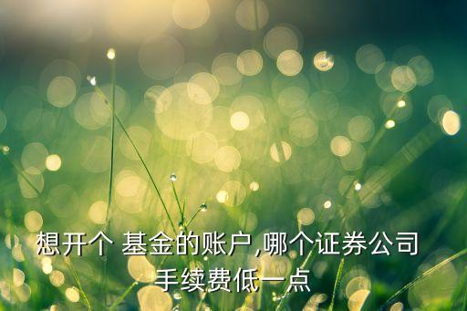 想開個 基金的賬戶,哪個證券公司 手續(xù)費(fèi)低一點(diǎn)