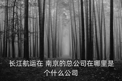  長(zhǎng)江航運(yùn)在 南京的總公司在哪里是個(gè)什么公司