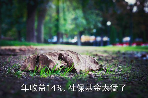 年收益14%, 社?；鹛土? class=