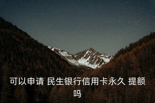 可以申請(qǐng) 民生銀行信用卡永久 提額嗎