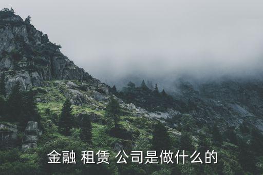  金融 租賃 公司是做什么的