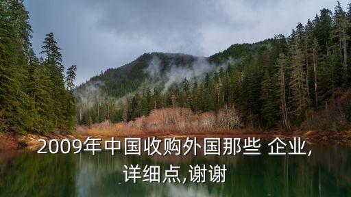 2009年中國(guó)收購(gòu)?fù)鈬?guó)那些 企業(yè),詳細(xì)點(diǎn),謝謝