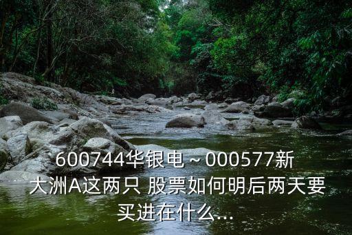 600744華銀電～000577新 大洲A這兩只 股票如何明后兩天要買進在什么...