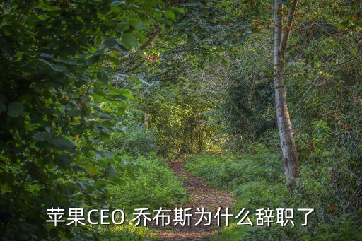 蘋果CEO 喬布斯為什么辭職了