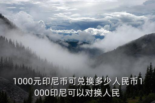 1000元印尼幣可兌換多少人民幣1000印尼可以對換人民