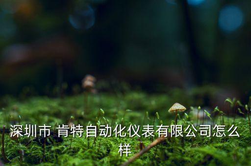 深圳市 肯特自動(dòng)化儀表有限公司怎么樣