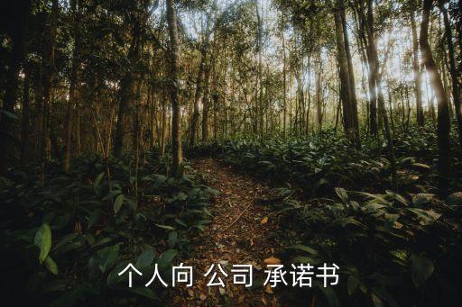 對(duì)公司的承諾