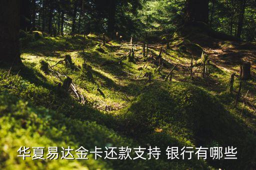 華夏易達(dá)金卡還款支持 銀行有哪些