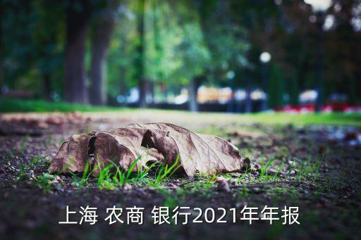 上海 農(nóng)商 銀行2021年年報