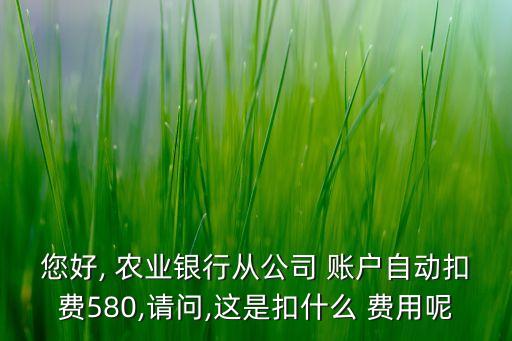 您好, 農(nóng)業(yè)銀行從公司 賬戶自動(dòng)扣費(fèi)580,請(qǐng)問,這是扣什么 費(fèi)用呢