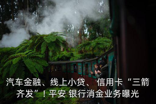 汽車金融、線上小貸、 信用卡“三箭齊發(fā)”! 平安 銀行消金業(yè)務(wù)曝光