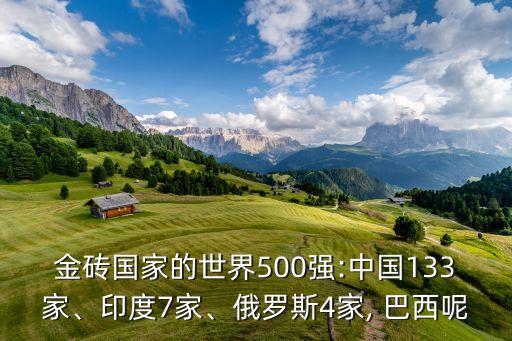 金磚國(guó)家的世界500強(qiáng):中國(guó)133家、印度7家、俄羅斯4家, 巴西呢