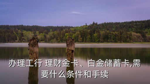 辦理工行 理財金卡、白金儲蓄卡,需要什么條件和手續(xù)