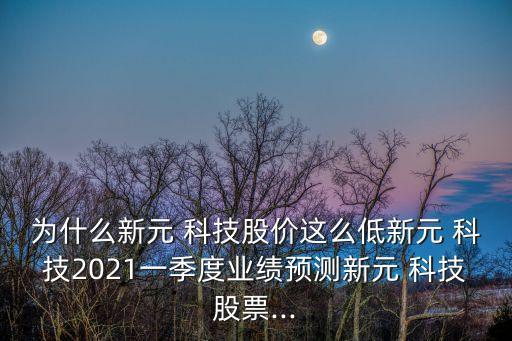 為什么新元 科技股價(jià)這么低新元 科技2021一季度業(yè)績預(yù)測新元 科技股票...