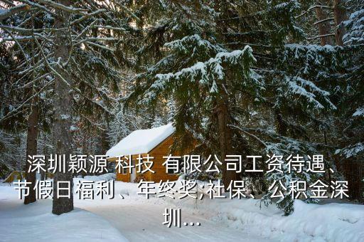 深圳穎源 科技 有限公司工資待遇、節(jié)假日福利、年終獎;社保、公積金深圳...