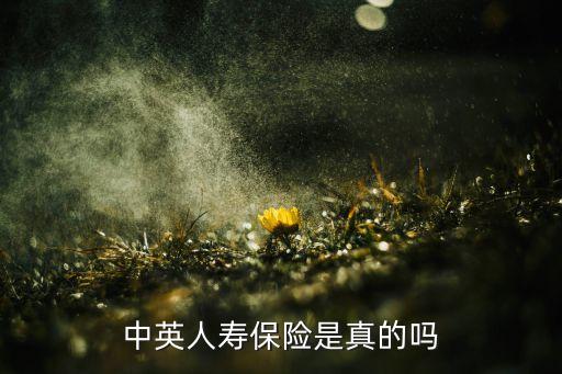 中英人壽保險(xiǎn)是真的嗎