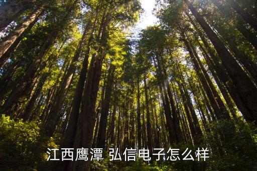 弘信控股有限公司,保信建投控股(北京)有限公司