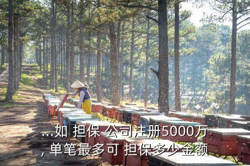 ...如 擔(dān)保 公司注冊(cè)5000萬(wàn), 單筆最多可 擔(dān)保多少金額