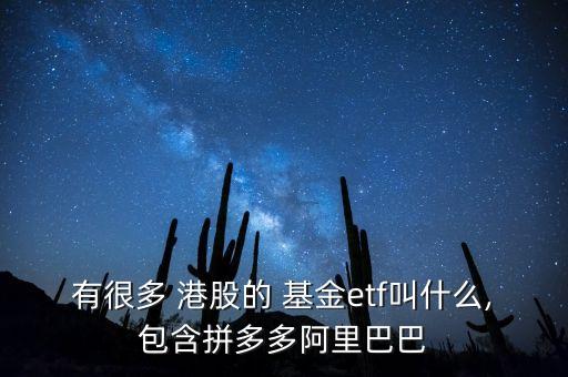 投資港股中小板的基金,怎么投資港股基金