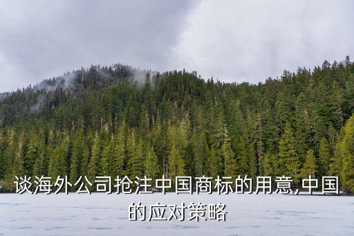 談海外公司搶注中國商標的用意,中國的應(yīng)對策略