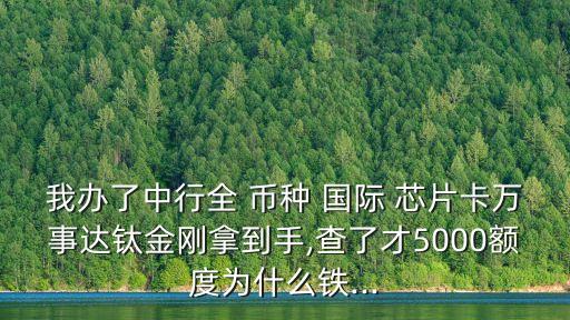 中國(guó)銀行全幣種國(guó)際芯片卡申請(qǐng),全幣種國(guó)際芯片萬(wàn)事達(dá)鈦金 中國(guó)銀行