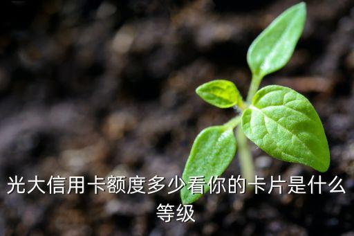 光大信用卡額度多少看你的卡片是什么等級(jí)