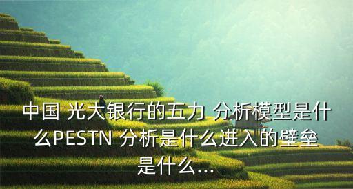 中國 光大銀行的五力 分析模型是什么PESTN 分析是什么進(jìn)入的壁壘是什么...