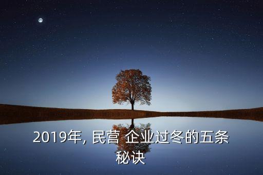 2019年, 民營 企業(yè)過冬的五條秘訣