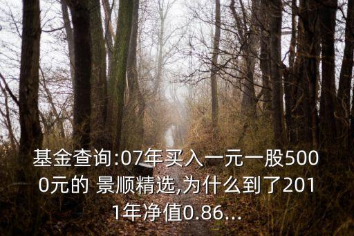 基金查詢(xún):07年買(mǎi)入一元一股5000元的 景順精選,為什么到了2011年凈值0.86...