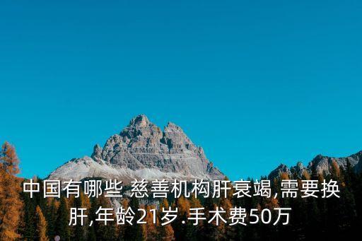 中國(guó)有哪些 慈善機(jī)構(gòu)肝衰竭,需要換肝,年齡21歲.手術(shù)費(fèi)50萬(wàn)