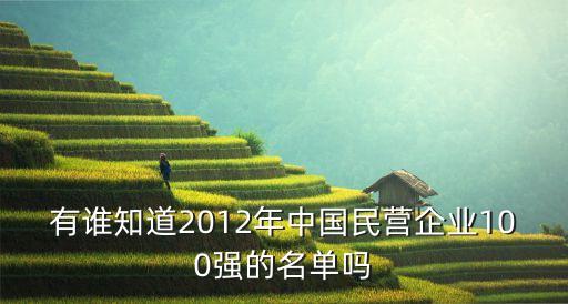 有誰知道2012年中國民營企業(yè)100強(qiáng)的名單嗎