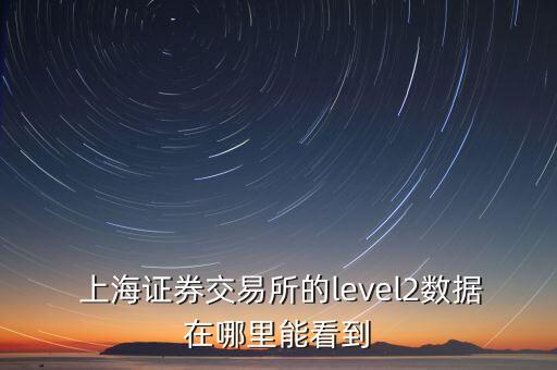  上海證券交易所的level2數(shù)據(jù)在哪里能看到