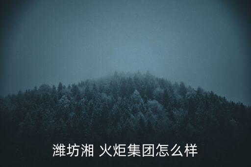 株洲火炬工程有限責任公司,株洲新凱工程建設監(jiān)理有限責任公司