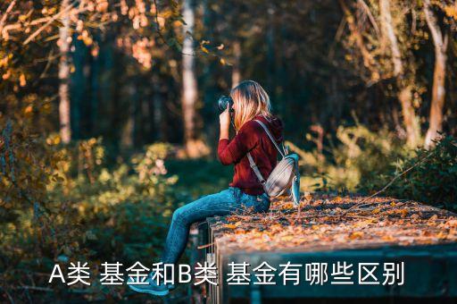 基金分級(jí)a與分級(jí)b有什么不同,分級(jí)基金b一覽表