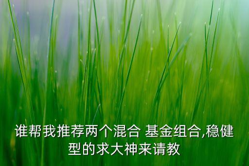 誰幫我推薦兩個(gè)混合 基金組合,穩(wěn)健型的求大神來請(qǐng)教