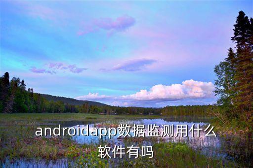 androidapp數(shù)據(jù)監(jiān)測用什么軟件有嗎