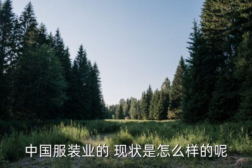 七匹狼公司現(xiàn)狀